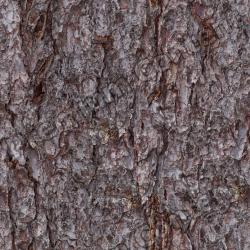 Seamless Bark 0001